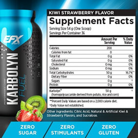 EFX Sports Karbolyn Fuel Strawberry Kiwi 4 lbs